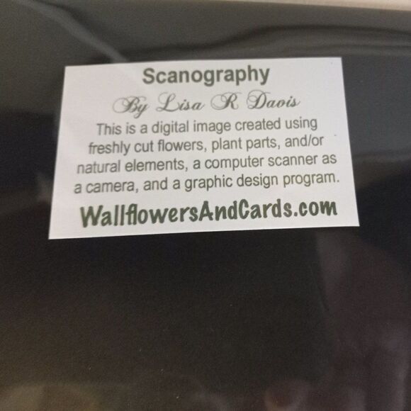 Lisa Davis Flower Posters - Picture 5 of 5